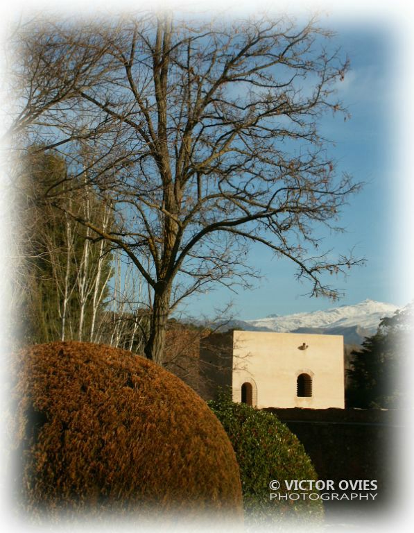 Tower of Baltasar de la Cruz and Cypress walk (Paseo de los Cipreses)